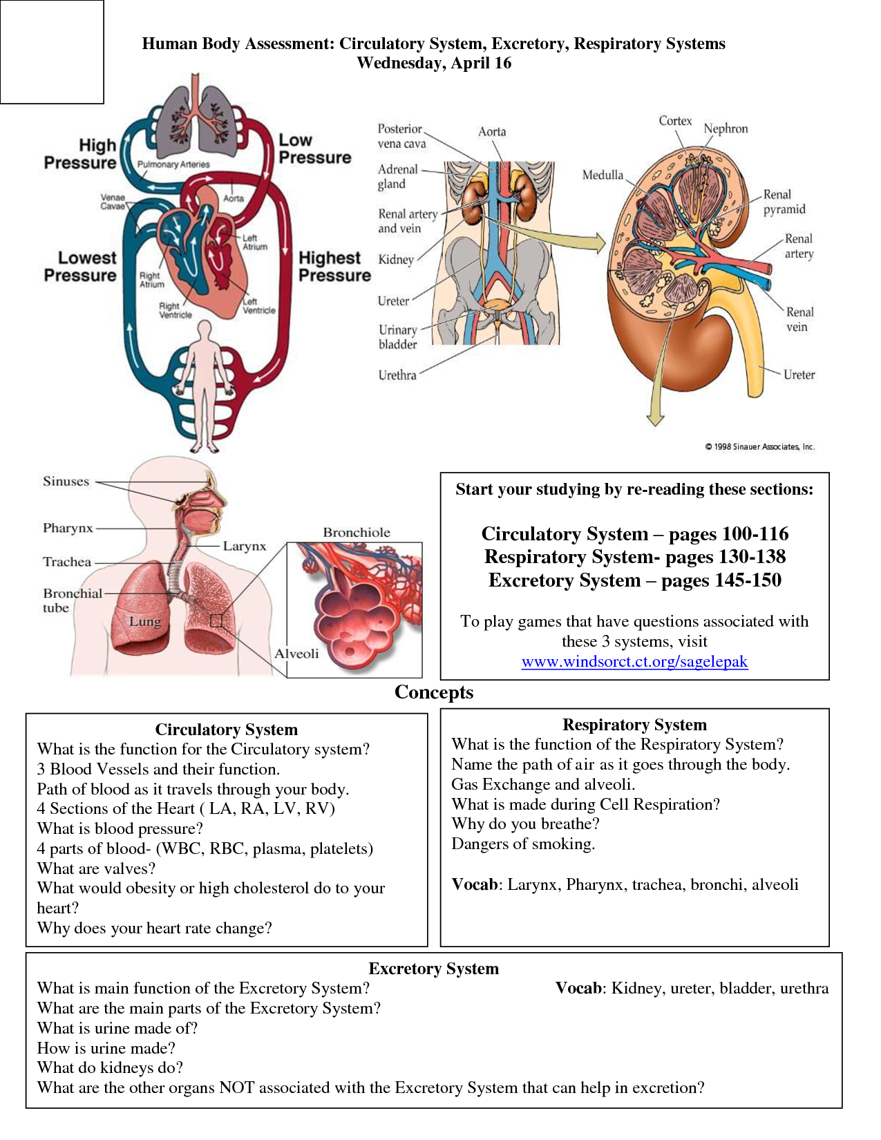 All Human Body Systems And Their Functions ModernHeal