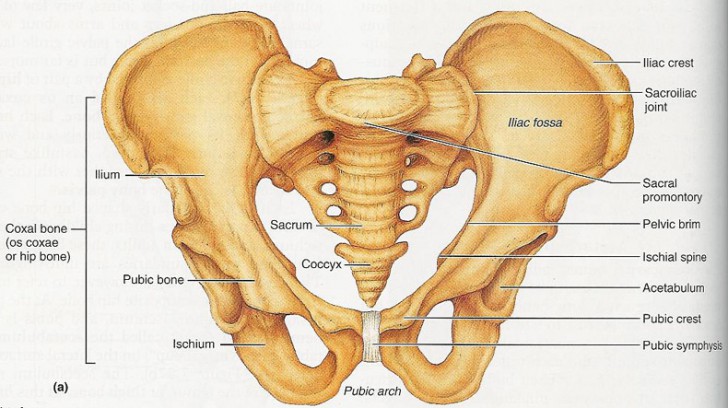 Iliac Crest Pain